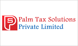 Palm Tax Solutions
